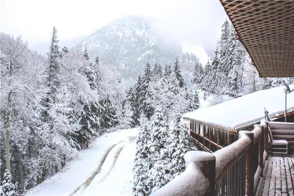 Snow Bear Inn And Condominiums Taos Ski Valley Dış mekan fotoğraf